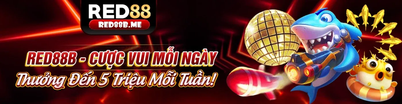 Hình ảnh chính sách cookie vl88